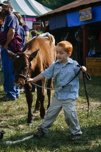 Boy Leading Heifer     